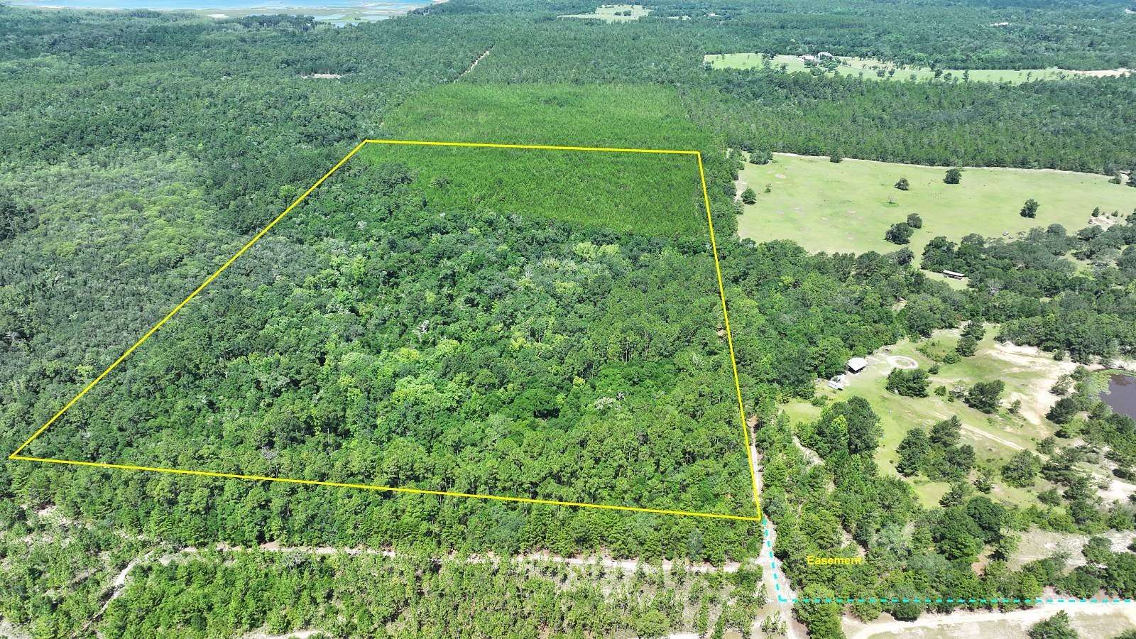 60 Acres of Recreational & Residential Land for Sale in Vernon, Florida