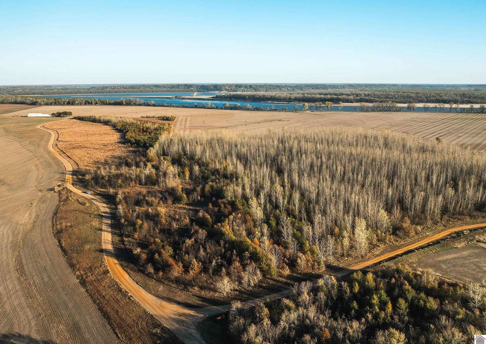 170 Acres of Land for Sale in Clinton, Kentucky