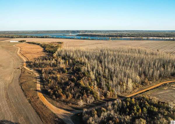 170 Acres of Land for Sale in Clinton, Kentucky