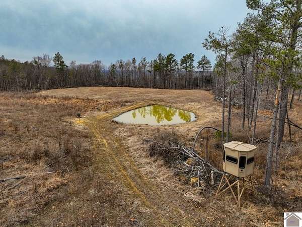 102 Acres of Recreational Land for Sale in Salem, Kentucky