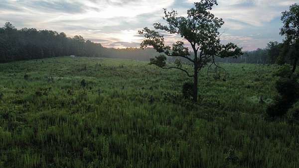 5 Acres of Land for Sale in Ridgeway, South Carolina