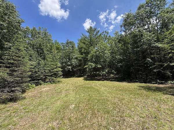 170 Acres of Recreational & Residential Land for Sale in Houghton Lake, Michigan