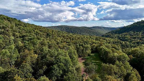 50.8 Acres of Recreational & Residential Land for Sale in Long Eddy, New York