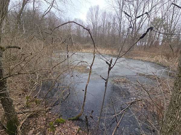 2.44 Acres of Residential Land for Sale in Coventry, New York