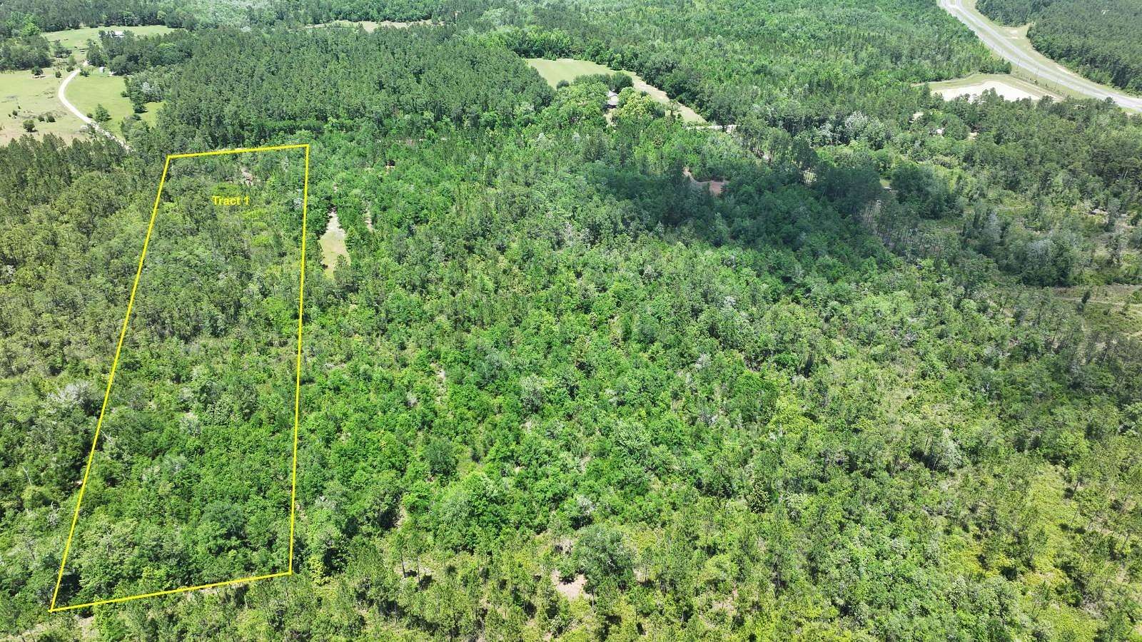 10 Acres of Recreational & Residential Land for Sale in Vernon, Florida