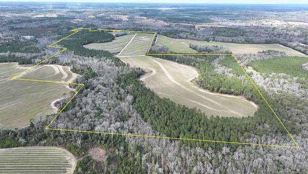 216 Acres of Land for Sale in Brundidge, Alabama