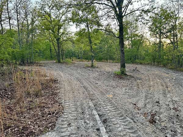 28.9 Acres of Land for Sale in Wagener, South Carolina