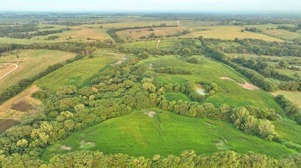78.5 Acres of Land for Sale in Browning, Missouri