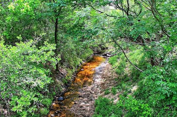 63.5 Acres of Land for Sale in Weimar, Texas