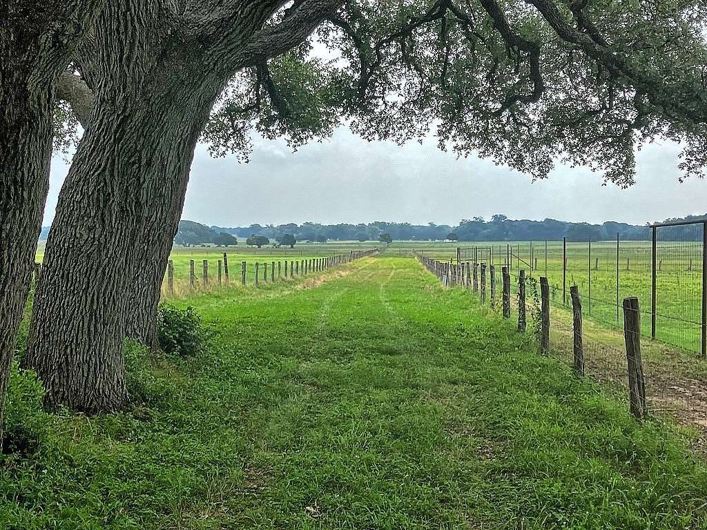 18.6 Acres of Land for Sale in Weimar, Texas