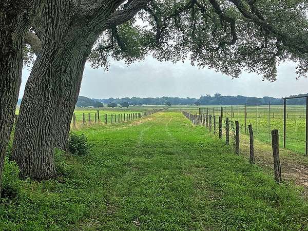 18.6 Acres of Land for Sale in Weimar, Texas