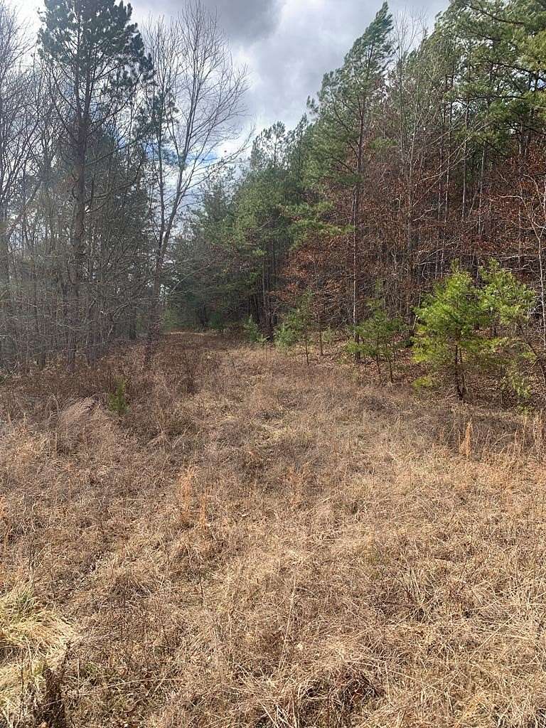 154 Acres of Land for Sale in Sunbright, Tennessee