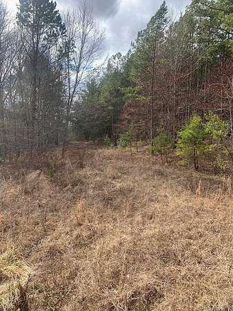 154 Acres of Land for Sale in Sunbright, Tennessee