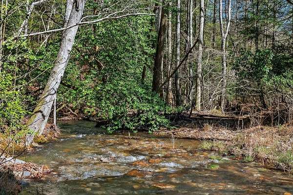 574 Acres of Land for Sale in Palmer, Tennessee
