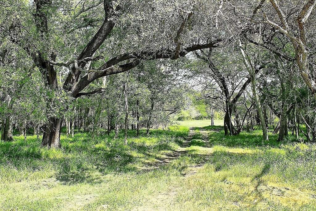 33.6 Acres of Land for Sale in Weimar, Texas