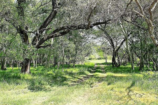 33.6 Acres of Land for Sale in Weimar, Texas