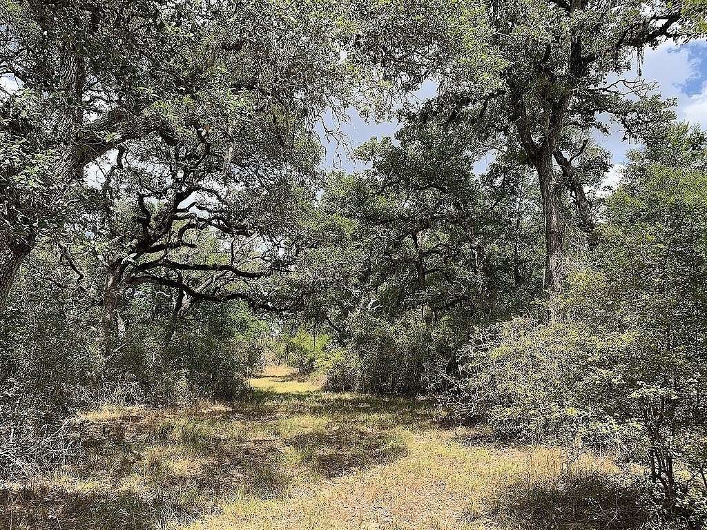 11 Acres of Recreational & Residential Land for Sale in Hallettsville, Texas