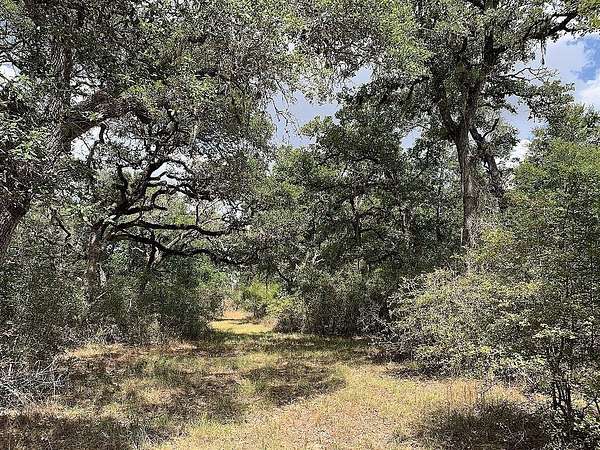 11 Acres of Recreational & Residential Land for Sale in Hallettsville, Texas
