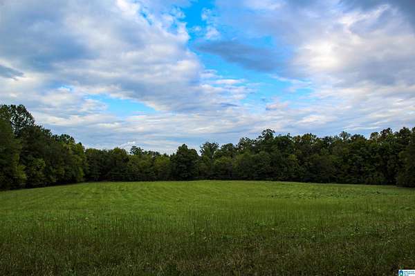 127 Acres of Land for Sale in Calera, Alabama