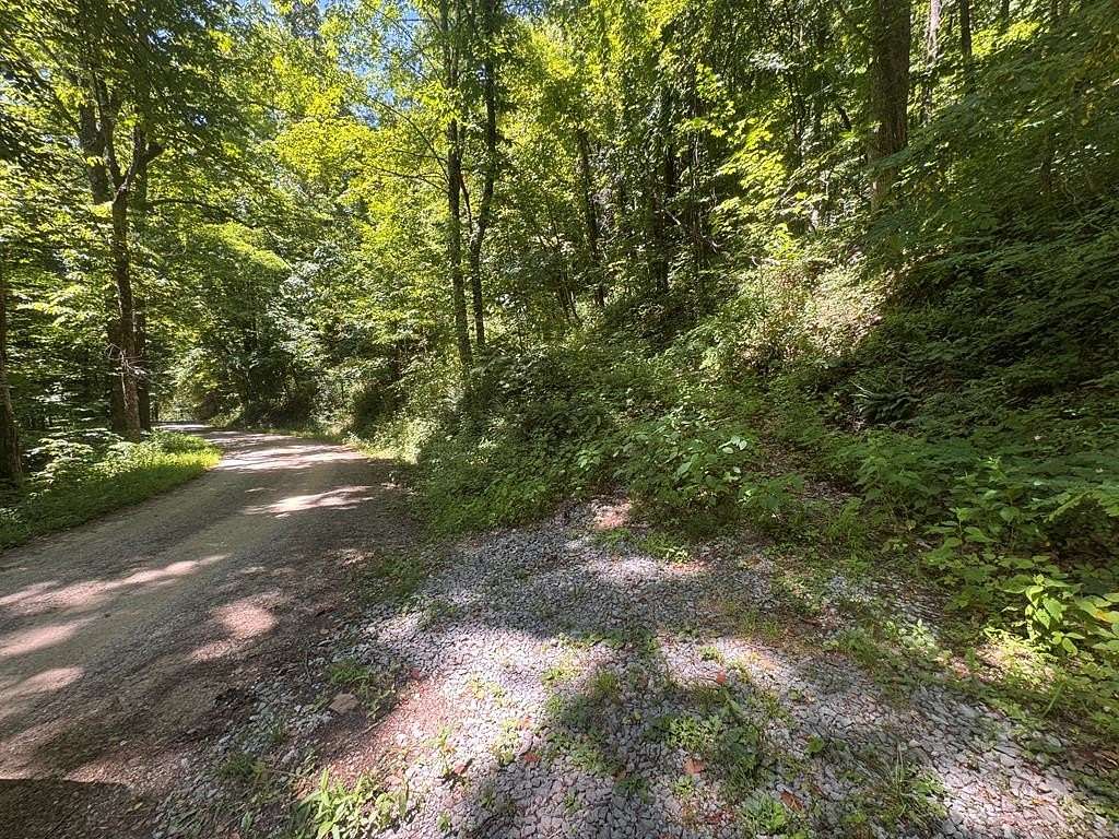 9.79 Acres of Residential Land for Sale in Waynesville, North Carolina