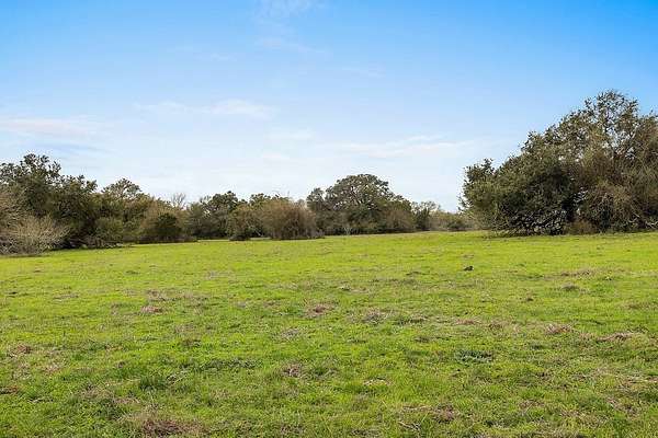 35 Acres of Agricultural & Residential Land for Sale in New Ulm, Texas