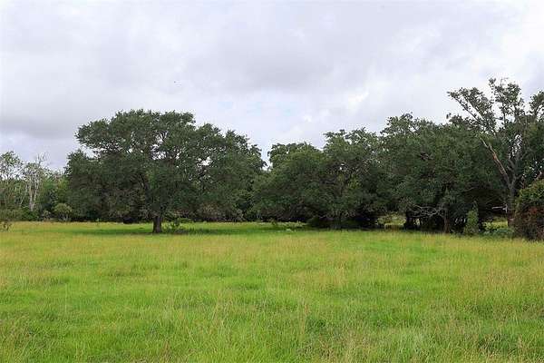 29.2 Acres of Recreational & Residential Land for Sale in Weimar, Texas