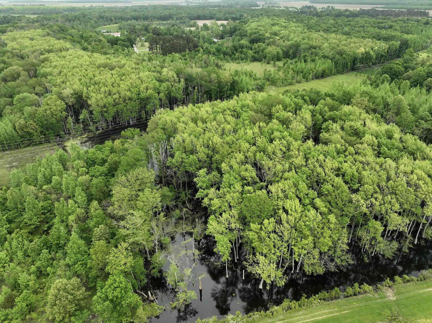 40 Acres of Recreational Land for Sale in Augusta, Arkansas