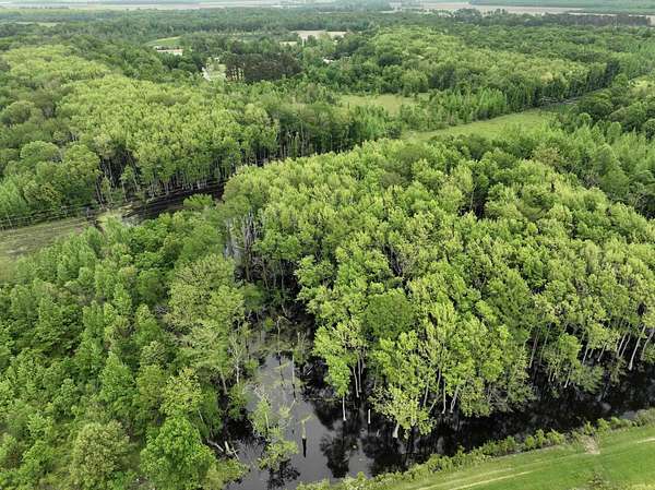 40 Acres of Recreational Land for Sale in Augusta, Arkansas