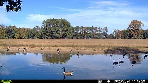 56 Acres of Land for Sale in Beebe, Arkansas