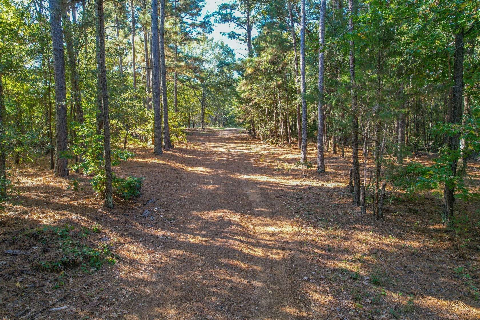 37.5 Acres of Recreational Land for Sale in Chandler, Texas