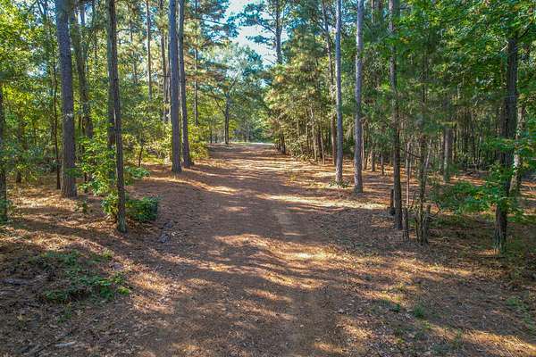 37.5 Acres of Recreational Land for Sale in Chandler, Texas