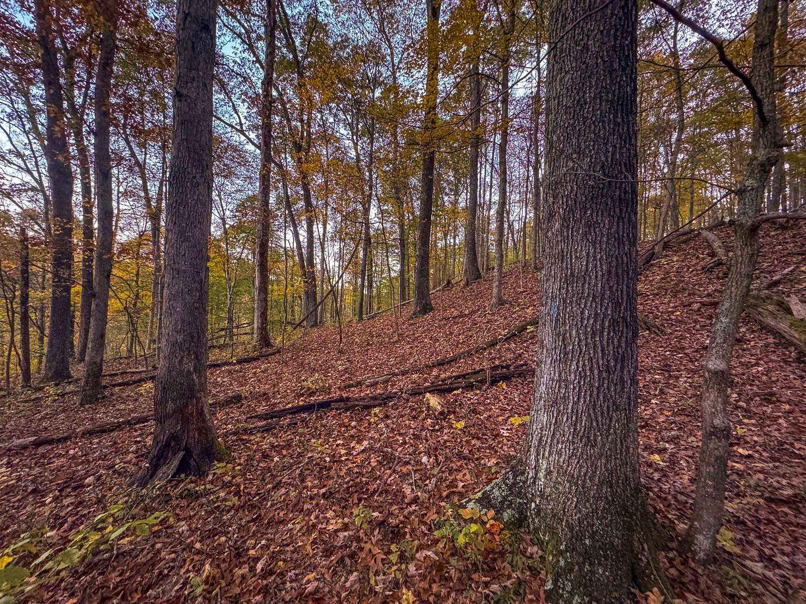 43 Acres of Recreational Land for Sale in LeRoy, West Virginia
