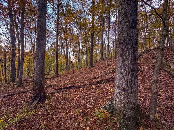 43 Acres of Recreational Land for Sale in LeRoy, West Virginia