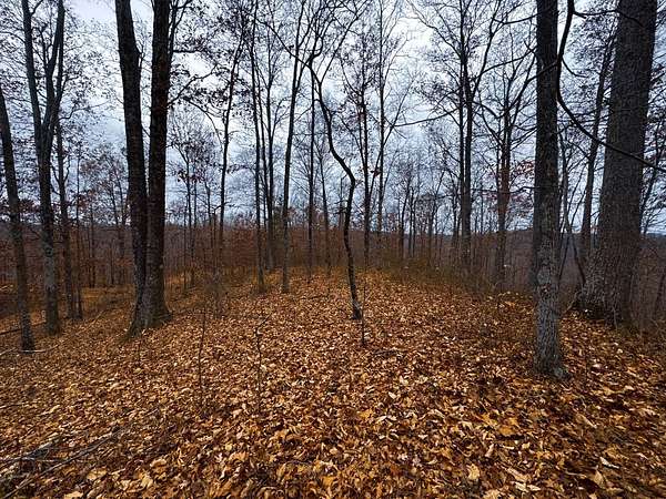 100 Acres of Recreational Land for Sale in Smithville, West Virginia