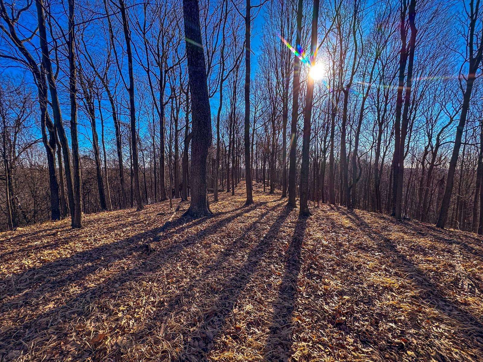 81 Acres of Recreational Land for Sale in Waverly, West Virginia
