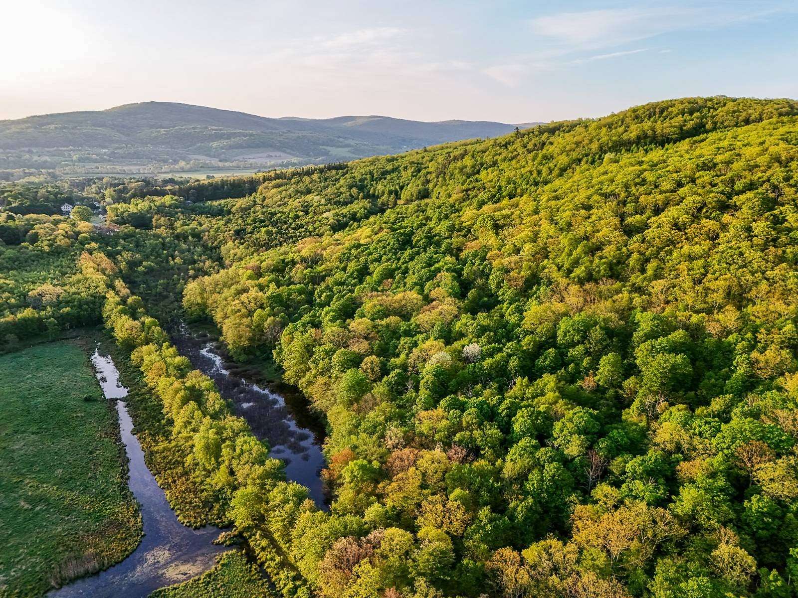 40.3 Acres of Land for Sale in Hillsdale, New York