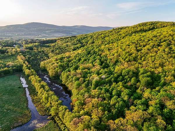 40.3 Acres of Land for Sale in Hillsdale, New York
