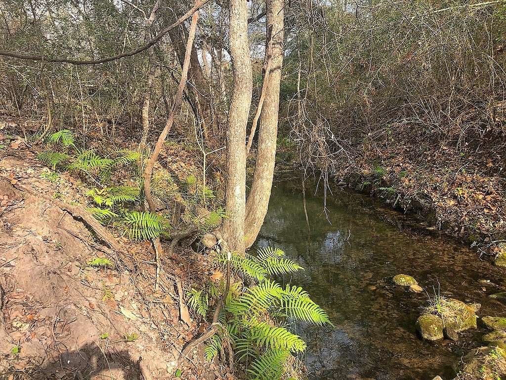 26 Acres of Recreational Land for Sale in Schulenburg, Texas