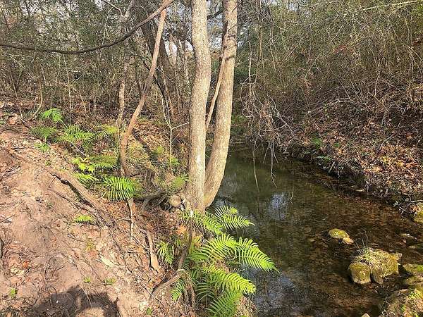 26 Acres of Recreational Land for Sale in Schulenburg, Texas
