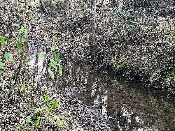 22.5 Acres of Recreational Land for Sale in Schulenburg, Texas