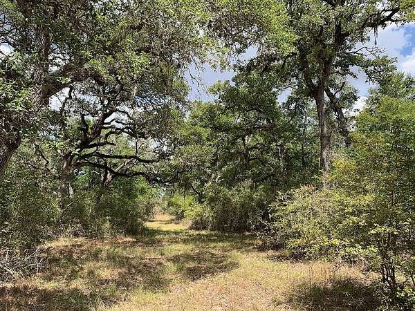 11 Acres of Recreational & Residential Land for Sale in Hallettsville, Texas