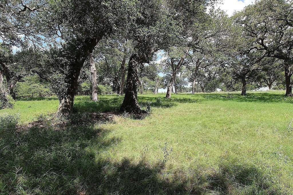 23.9 Acres of Agricultural & Residential Land for Sale in Schulenburg, Texas