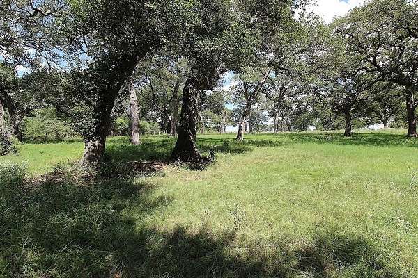 23.9 Acres of Agricultural & Residential Land for Sale in Schulenburg, Texas