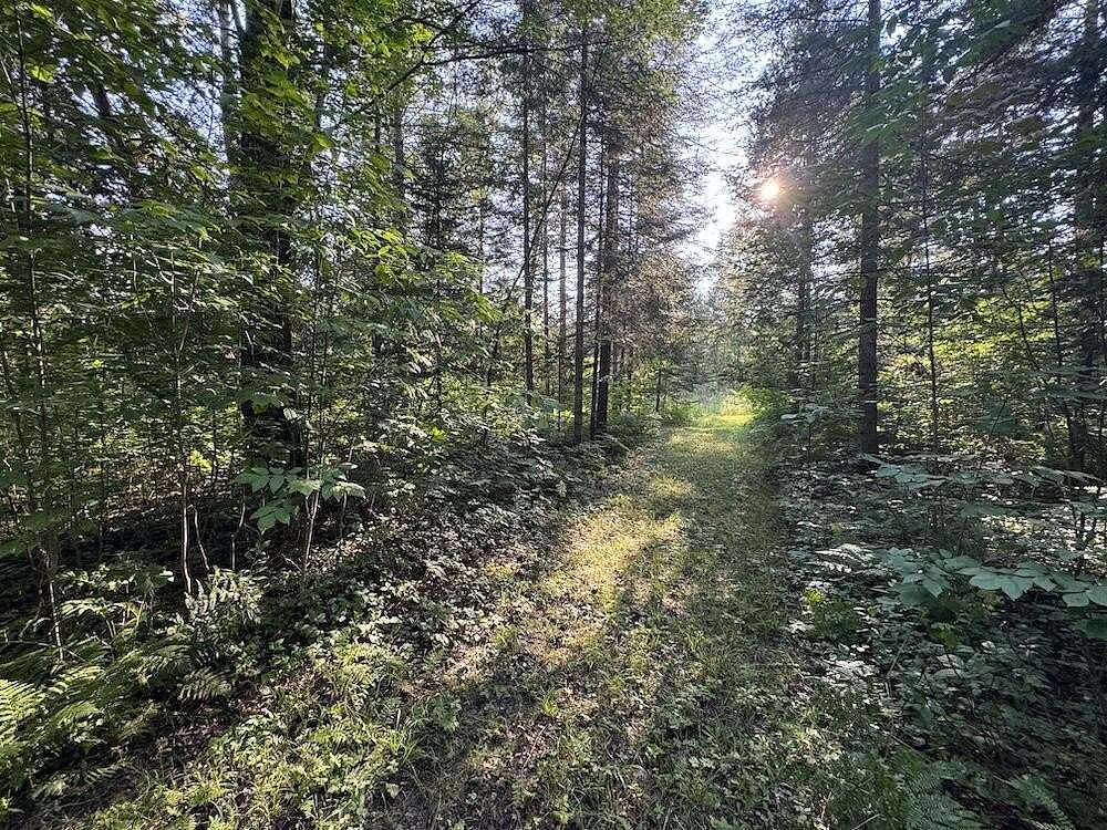 15 Acres of Recreational & Residential Land for Sale in West Branch, Michigan