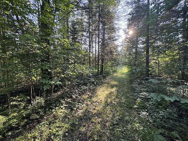 15 Acres of Recreational & Residential Land for Sale in West Branch, Michigan