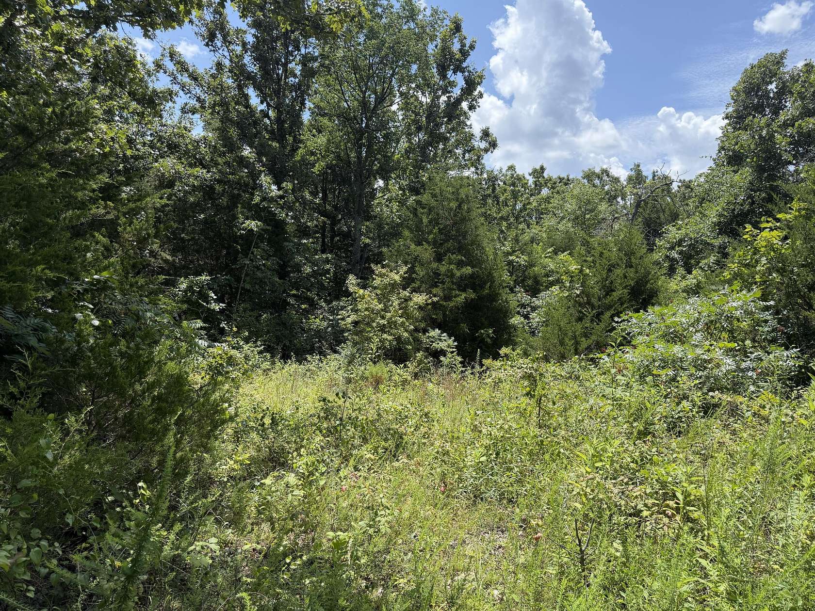 7 Acres of Residential Land for Sale in Willow Springs, Missouri