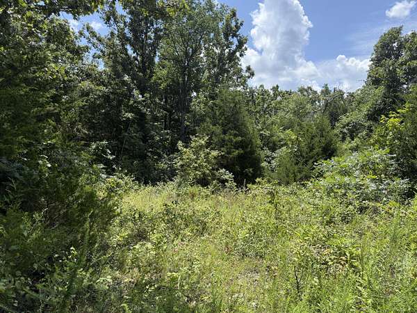 7 Acres of Residential Land for Sale in Willow Springs, Missouri