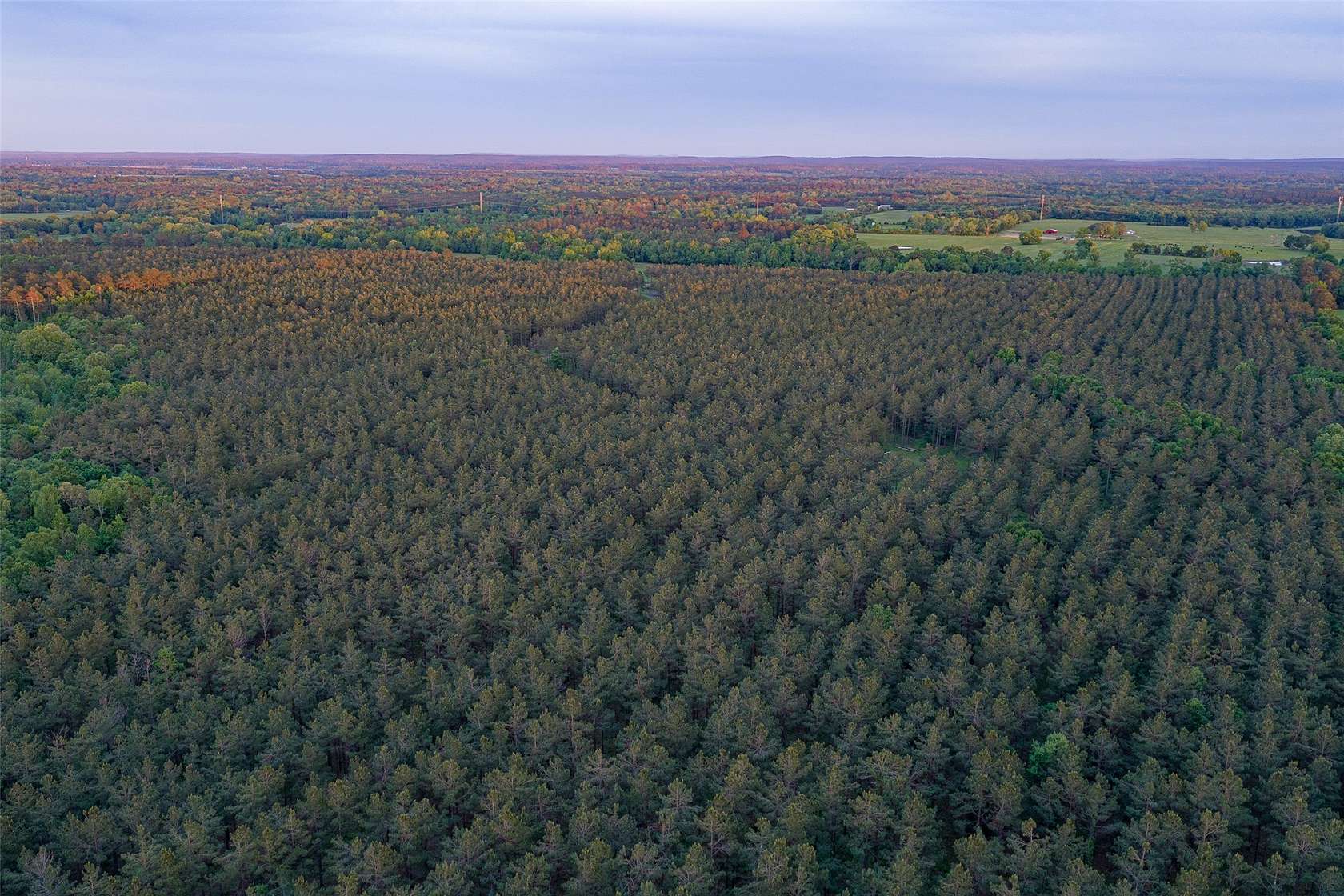 150 Acres of Land for Sale in Long Branch, Texas