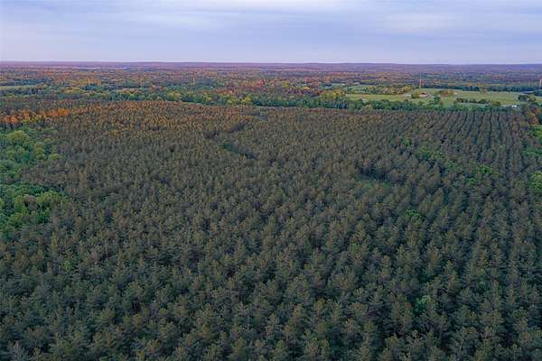 150 Acres of Land for Sale in Long Branch, Texas