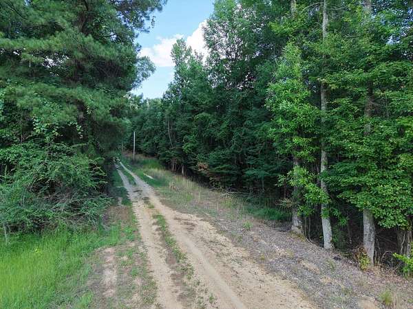 65 Acres of Recreational & Residential Land for Sale in Jackson Township, Arkansas